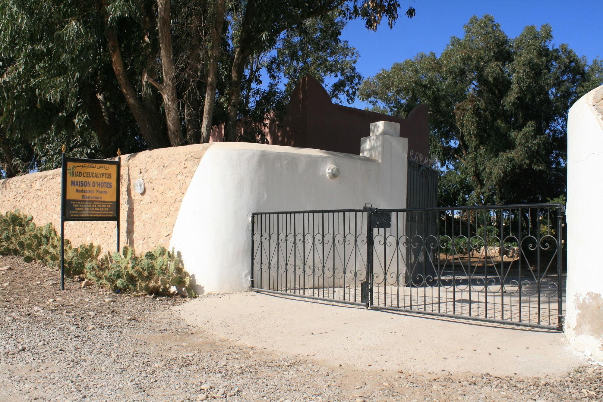 אסאוירה Riad Eucalyptus מראה חיצוני תמונה