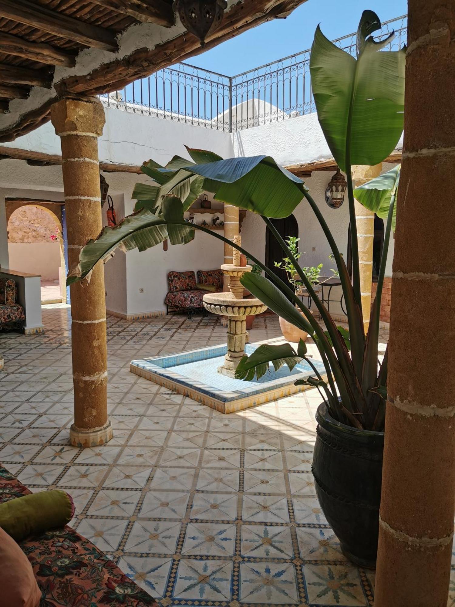 אסאוירה Riad Eucalyptus מראה חיצוני תמונה