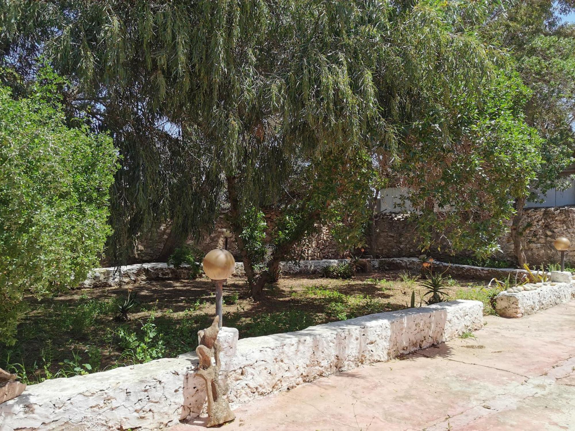 אסאוירה Riad Eucalyptus מראה חיצוני תמונה